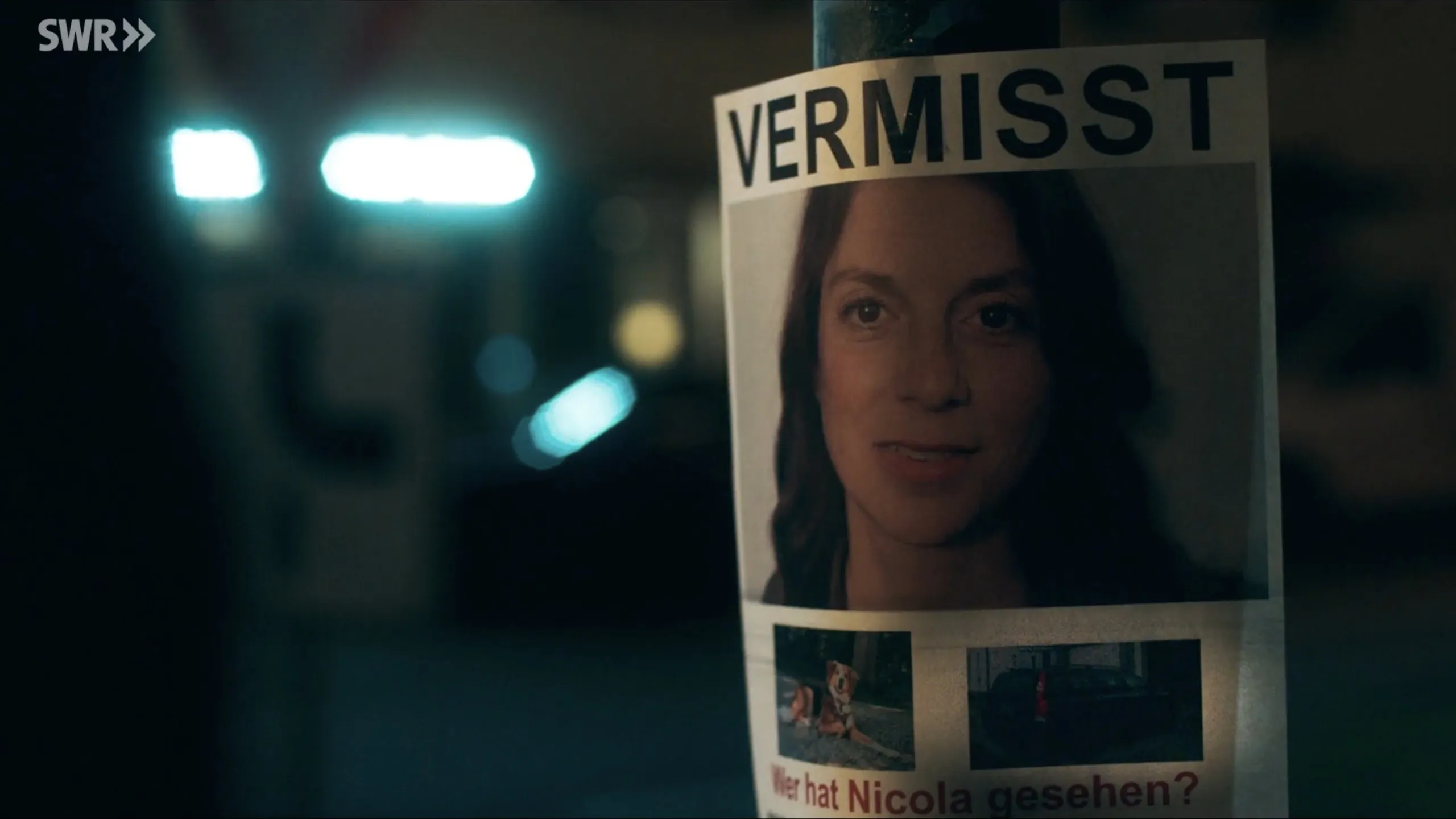 Vermisstenplakat an einem Laternenpfahl bei Nacht: „Vermisst“ über einem Foto von Nicole Behnke, darunter „Wer hat Nicola gesehen?“